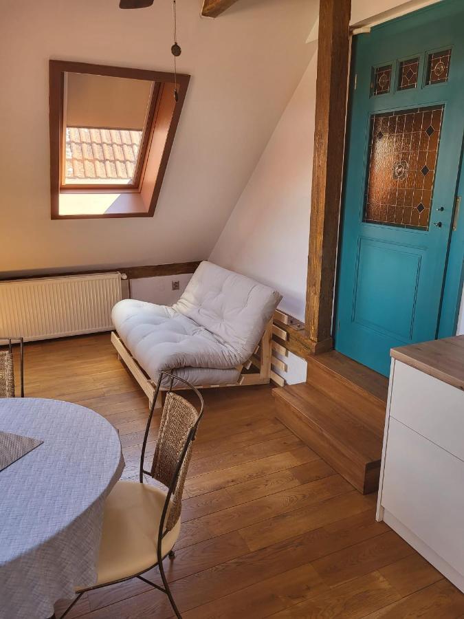 Roof Apartment Ztracena 올로모우츠 외부 사진