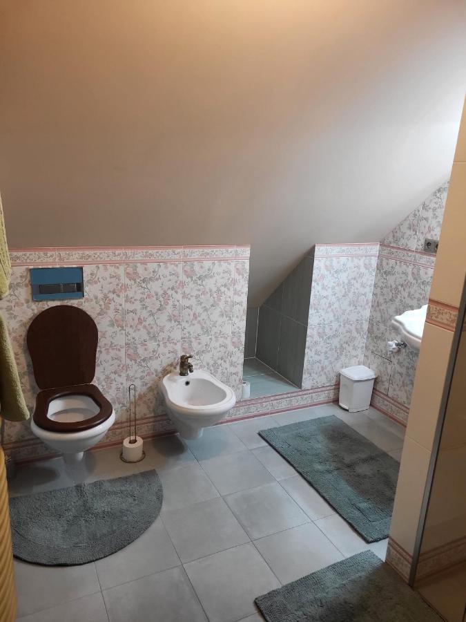 Roof Apartment Ztracena 올로모우츠 외부 사진