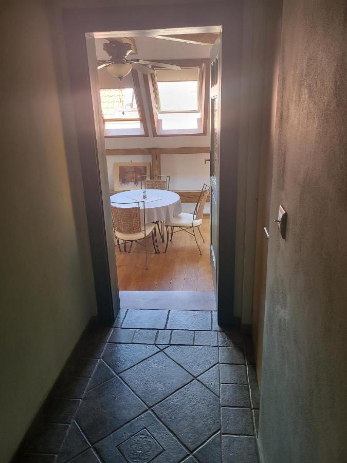 Roof Apartment Ztracena 올로모우츠 외부 사진