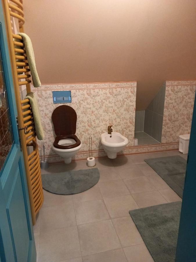 Roof Apartment Ztracena 올로모우츠 외부 사진